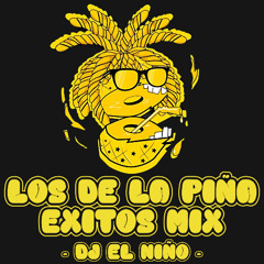 Los De La Piña Exitos Mix (Mi Foo, Se Vale Too Remix, Mujeriego, Baila, Soltero, Vuelta A La Isla)