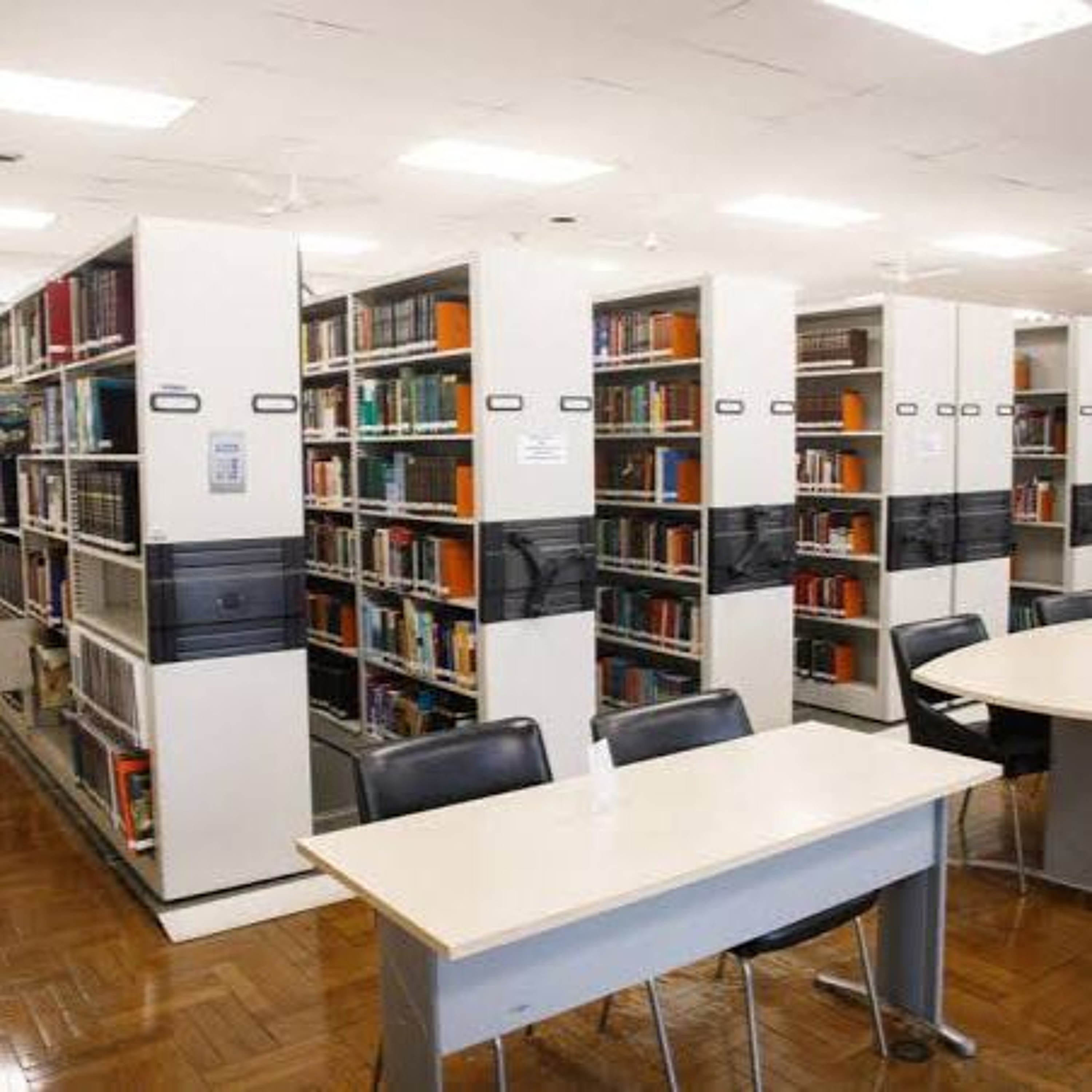 08.08.2026 = BIBLIOTECA DA CÂMARA DE SP É FONTE HISTÓRICA DE INFORMAÇÕES episode artwork