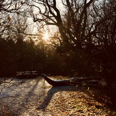 Brudmarsch Från Oxeby