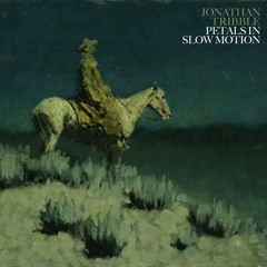 Petals in Slow Motion