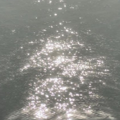 파란