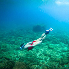Best Place To Snorkel In Waikiki Prices Reviews