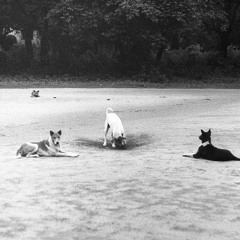 Farewell Lord Sankee