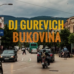 Shantel - Bukovina (Dj Gurevich Remix)