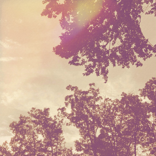 Live @ Harmony Valley (Full Set)