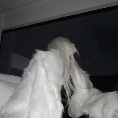 con chim trên cành cây