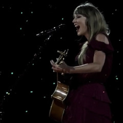 This Is Why We Cant Have Nice Things Live at The Eras Tour