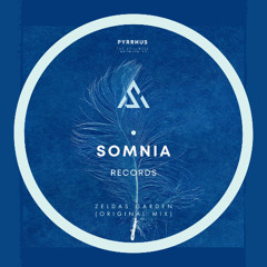 Pyrrhus - Zeldas Garden Original Mix (The stillness between EP) 12.12.25 Beatport Exclusive