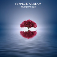 Flying in a Dream (Tenn Plata Remix)