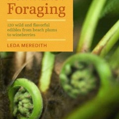 download EPUB 📤 Northeast Foraging: 120 Wild and Flavorful Edibles from Beach Plums
