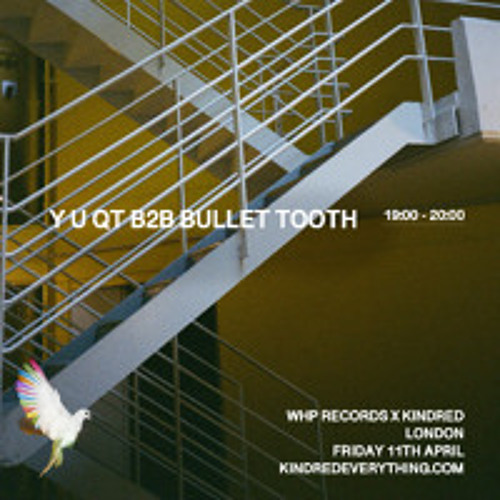 Y U QT B2B Bullet Tooth | Kindred x Warehouse Project Records
