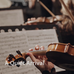 A Quiet Arrival