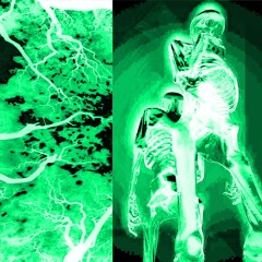 Muscle(My Soul) [prod. yewbe]