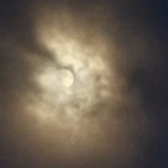 with you (original song)- HARLY STAR