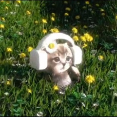 Tied To Your Ghost (remastered)