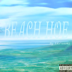 BEACH HOE