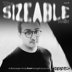 The Sizeable Mix Vol. 9: Kosh (Live)