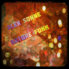alex sonne - nature funk.mp3
