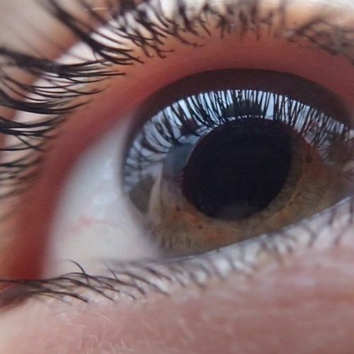 "I See the World"  - Marching Band Show