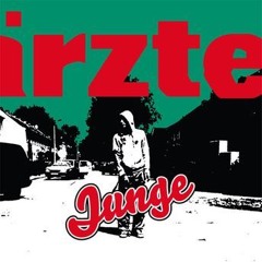 Junge - Die Ärzte (DJ Tripod feat. LNP Remix)