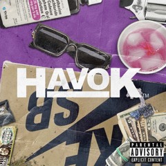 HAVOK MIX VOL. 6 (BINSCORING)