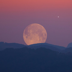 Lunar Movements // see info for full free download