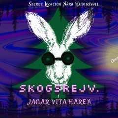 Live Mix Rec 2022/08/13 "SKOGSREJV Jagar VITA HAREN"