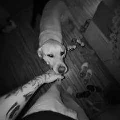 Anomaly - 1000 Blunts (160er)