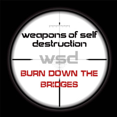 burn down the bridges