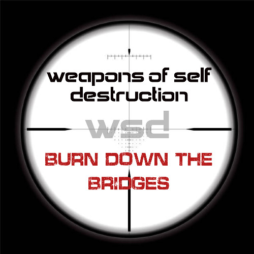 burn down the bridges