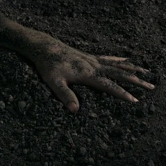 Rise Up From The Ashes