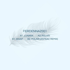 FERDENNAZ001 - 深淵の美 - (Incl. Anteac Remix)