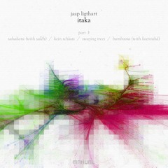 Jaap Ligthart & Saléh - Sahakara