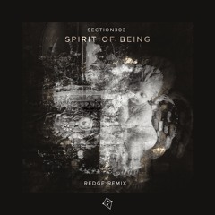 Section303 - Spirit Of Being (Redge Remix) - Preview - OUT NOW