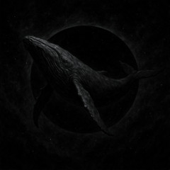 Flying Whales - Remix by Flowin'Fluids