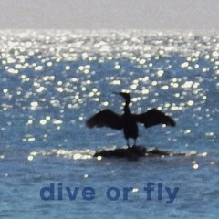 Dive Or Fly