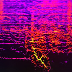 New Years CVR 2025 Set