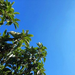 nel blu dipinto di blu però alla mecna style