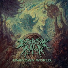 Unknown World