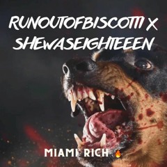 Miami Rich 🔥 (prod. SHEWASEIGHTEEN) reup