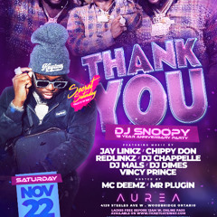 DJ SNOOPY 18 YEAR ANNIVERSARY PROMO MIX (HITS ONLY ) FREESTYLE