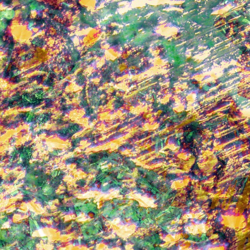 Gotshell - Sixty-Eight Languages