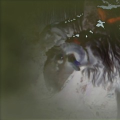 Live @ Arts Du Forez ~ 03/06/2023