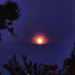 Love Hurts (+prod. Koena & itzpolo)