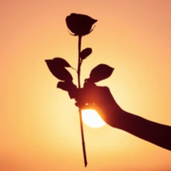 I Wrote This Song For You