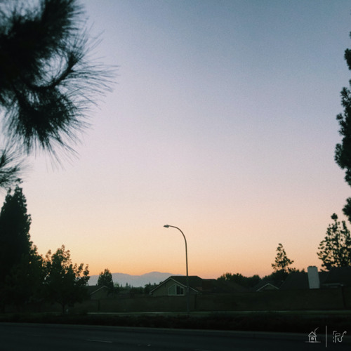 i'm trynna do the right thing