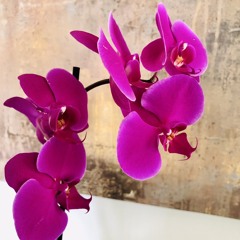 رادیو گلچین Golchin Radio, this programme is created in Farsi, رادیو گلچین، قسمت ۱