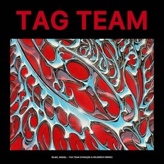 B.Bilbo, Master Niggel - Tag Team (Paraçek & WILDERÍCH Radio Remix)