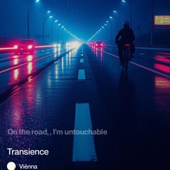 transience - viënna