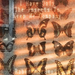 I Have Only the Insects to Keep Me Company ft. FrancesBrumes